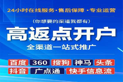 百度广告竞价策略详解：某电商平台的成功案例